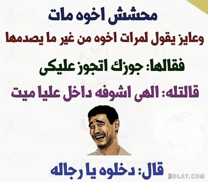 نكت محششين قصيرة