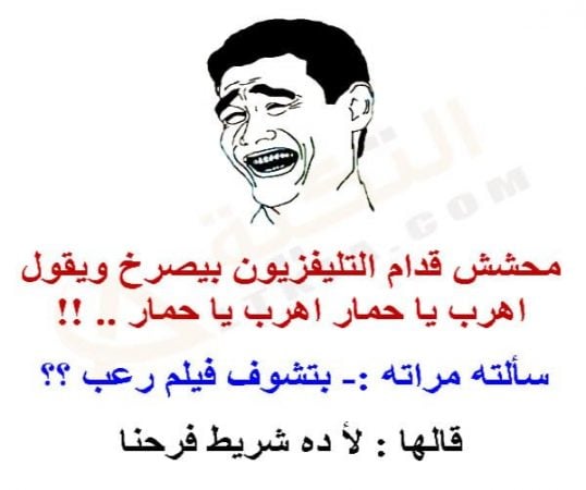 نكت محششين