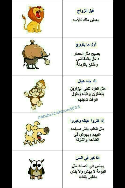 نكت مضحكة جدا جدا جدا