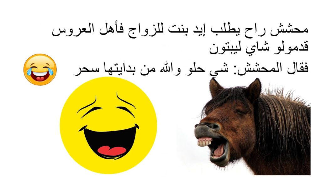 نكت مضحكة سورية
