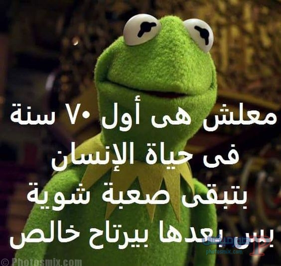 نكت مضحكة مصرية
