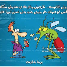 نكت مضحكة مغربية