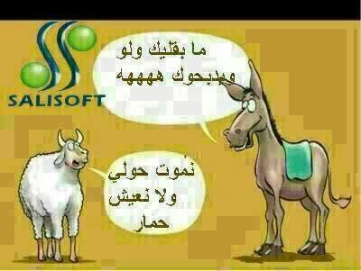 نكت مغربية مضحكة قصيرة
