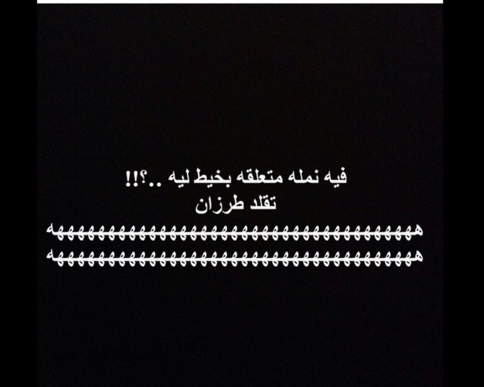 نكت نمل ٢٠٢٠