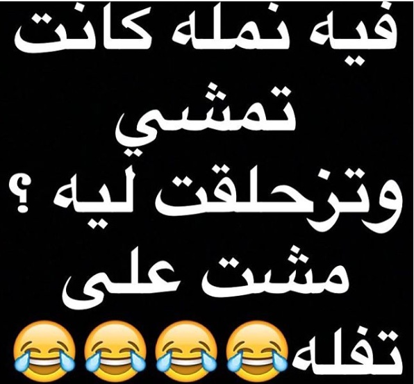نكت نمل ٢٠٢٠