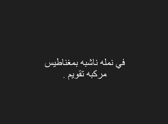 نكت نمل ٢٠٢٠