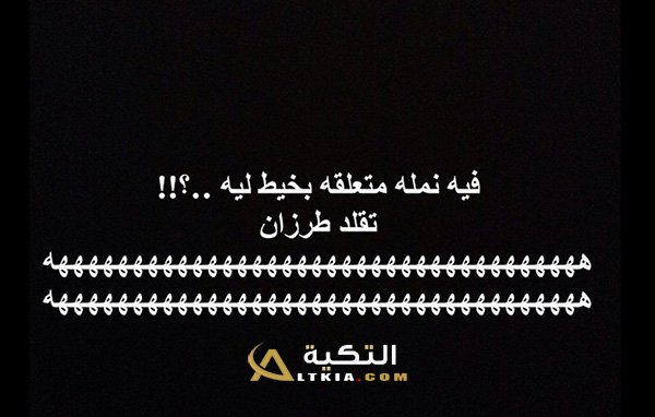 نكت نمل ٢٠٢٠