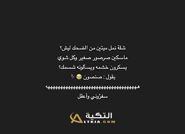 نكت نمل ٢٠٢٠