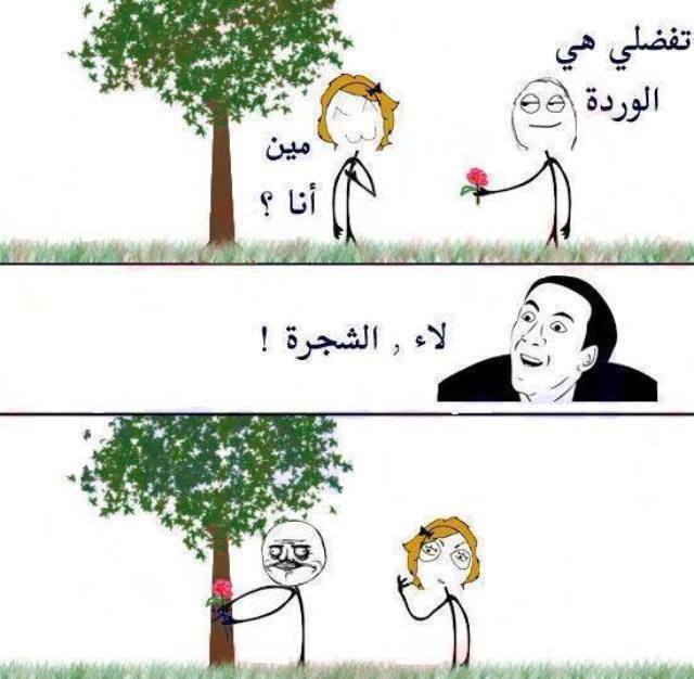 نكتة جزائرية