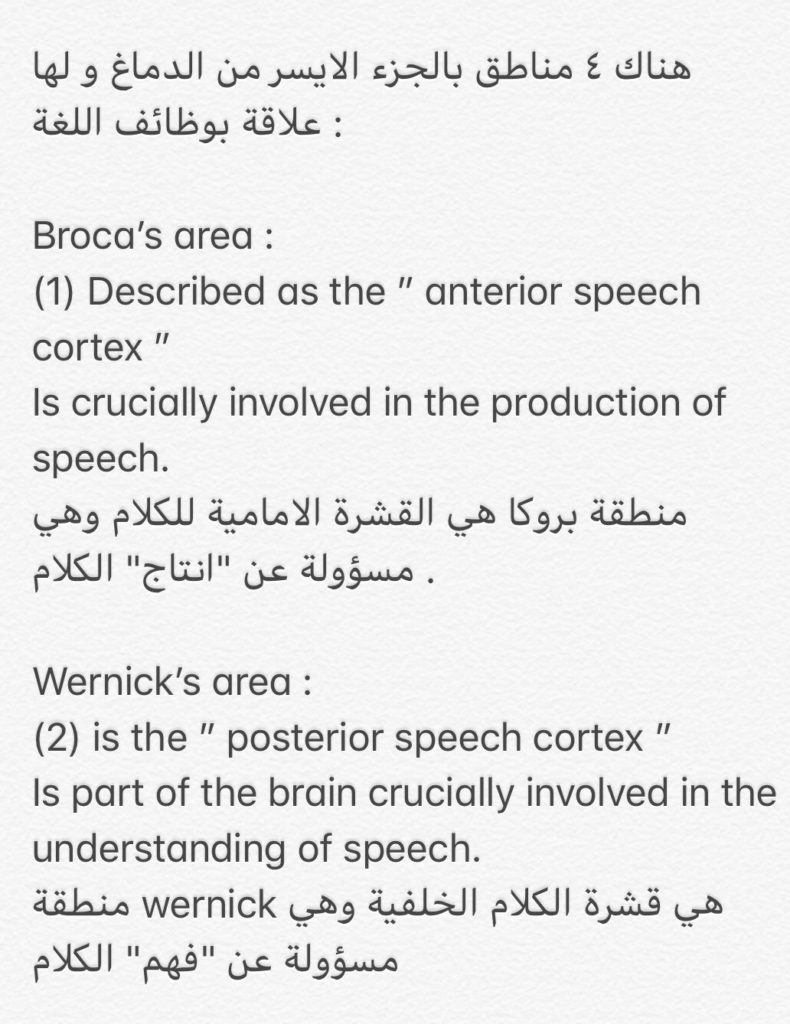 نموذج اختبار ستيب مع الحل