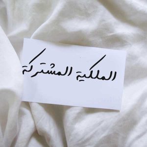 نموذج نظام الملكية المشتركة بالمغرب