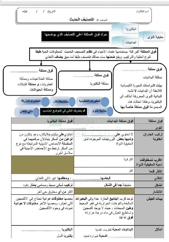ورقة عمل البكتيريا