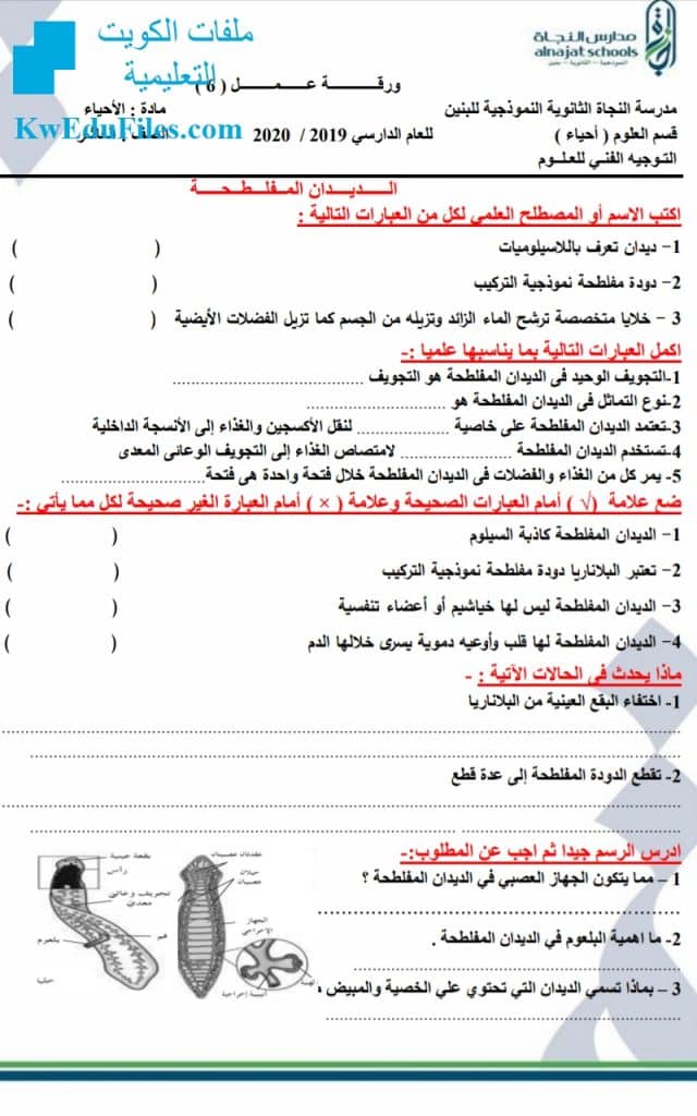ورقة عمل البكتيريا