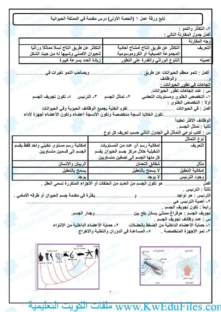 ورقة عمل التصنيف الحديث