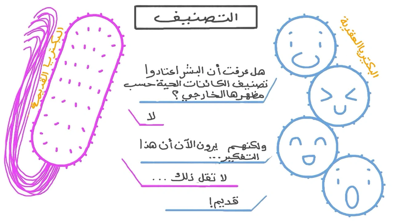 صورة ورقة عمل التصنيف الحديث