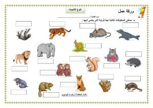 ورقة عمل الثدييات