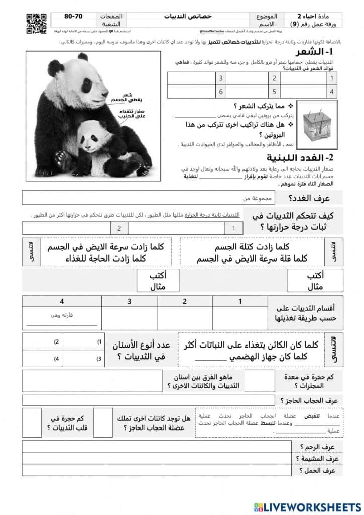 ورقة عمل الثدييات