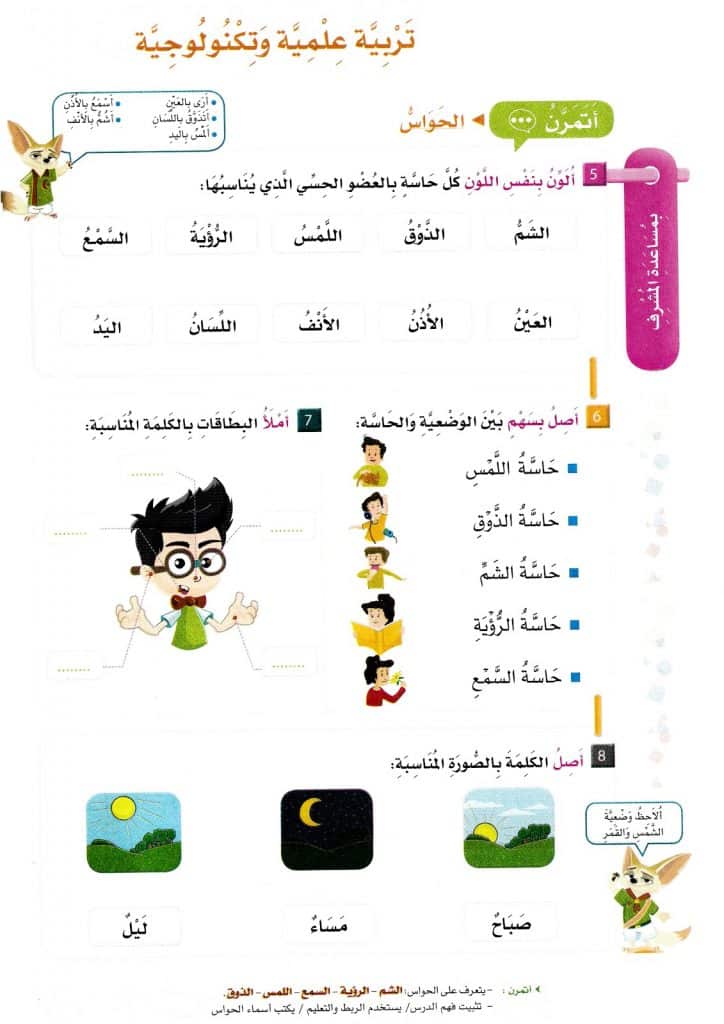 ورقة عمل الحواس الخمس
