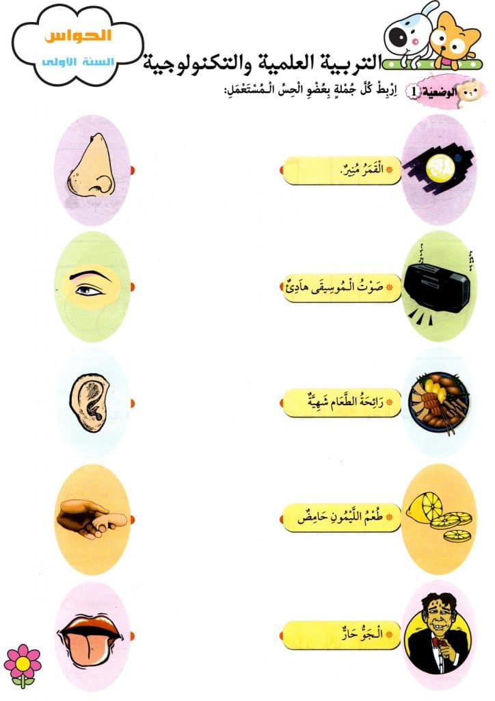 ورقة عمل الحواس الخمس