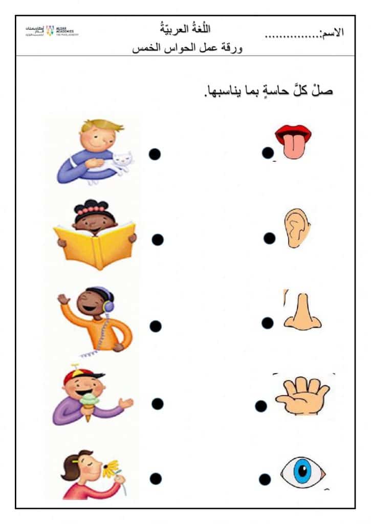 ورقة عمل الحواس الخمس