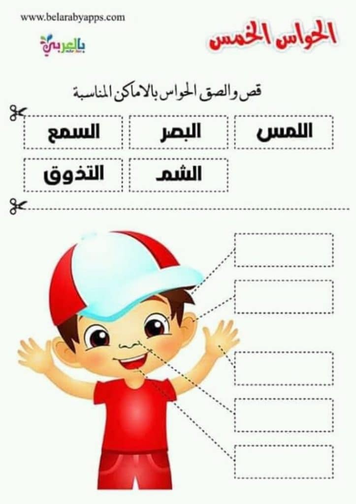 ورقة عمل الحواس الخمس