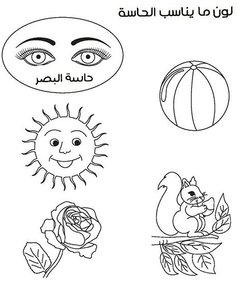 ورقة عمل الحواس الخمس