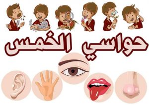 ورقة عمل الحواس الخمس