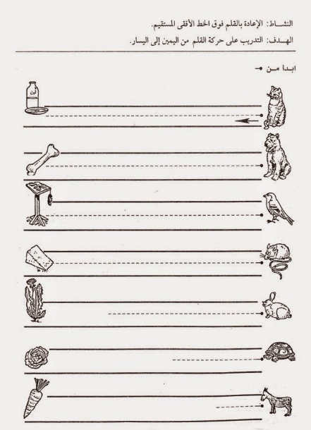 ورقة عمل الخط العمودي