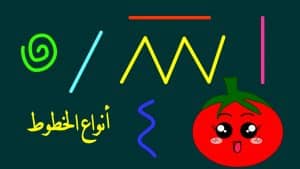 ورقة عمل الخطوط