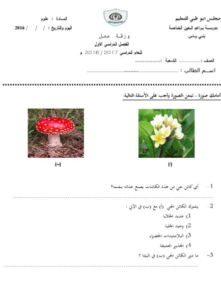 ورقة عمل الخلية النباتية والحيوانية