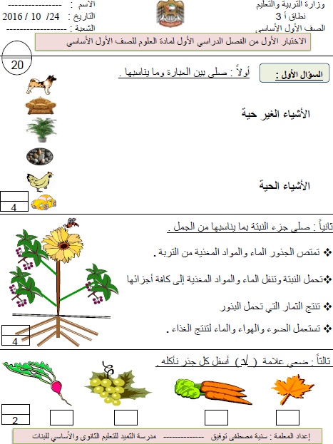ورقة عمل الصف الاول