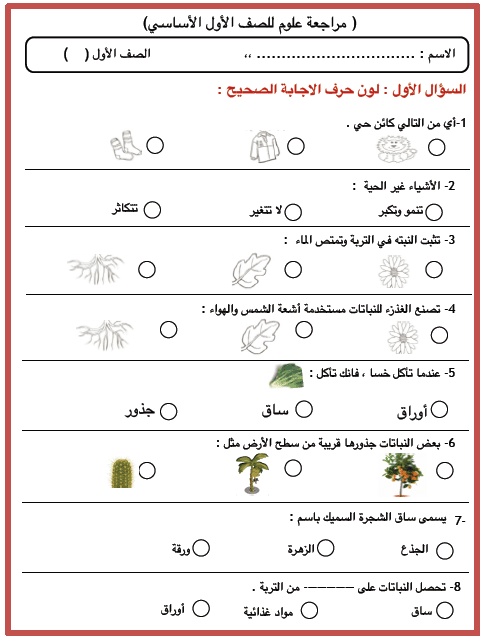 ورقة عمل الصف الاول