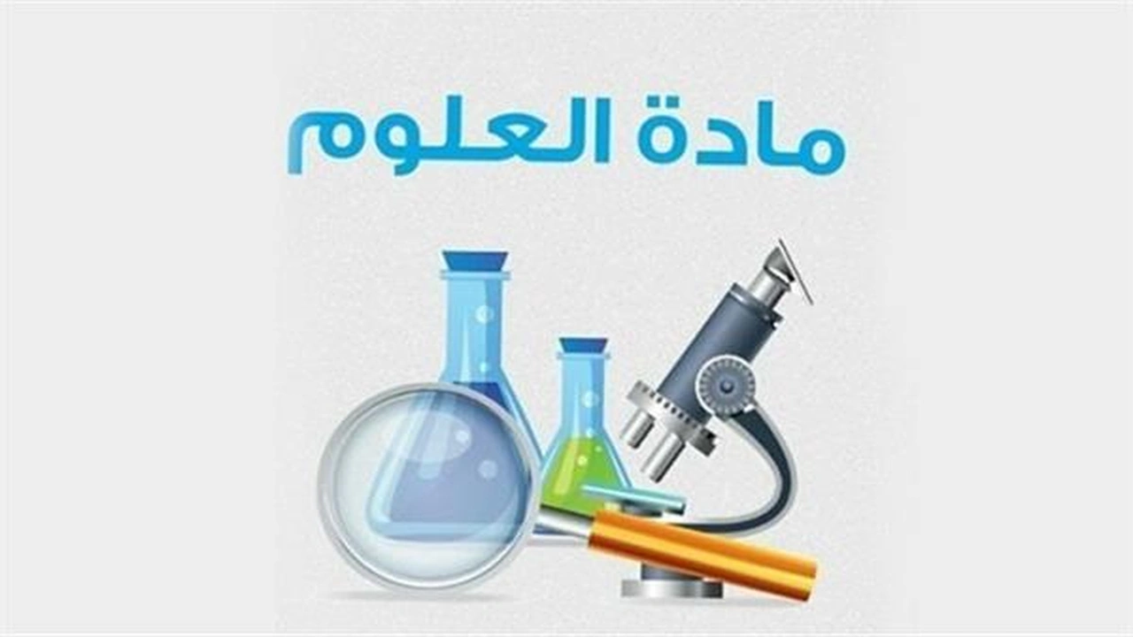 صورة ورقة عمل الصف السادس علوم
