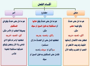 ورقة عمل الفعل الماضي والمضارع والامر