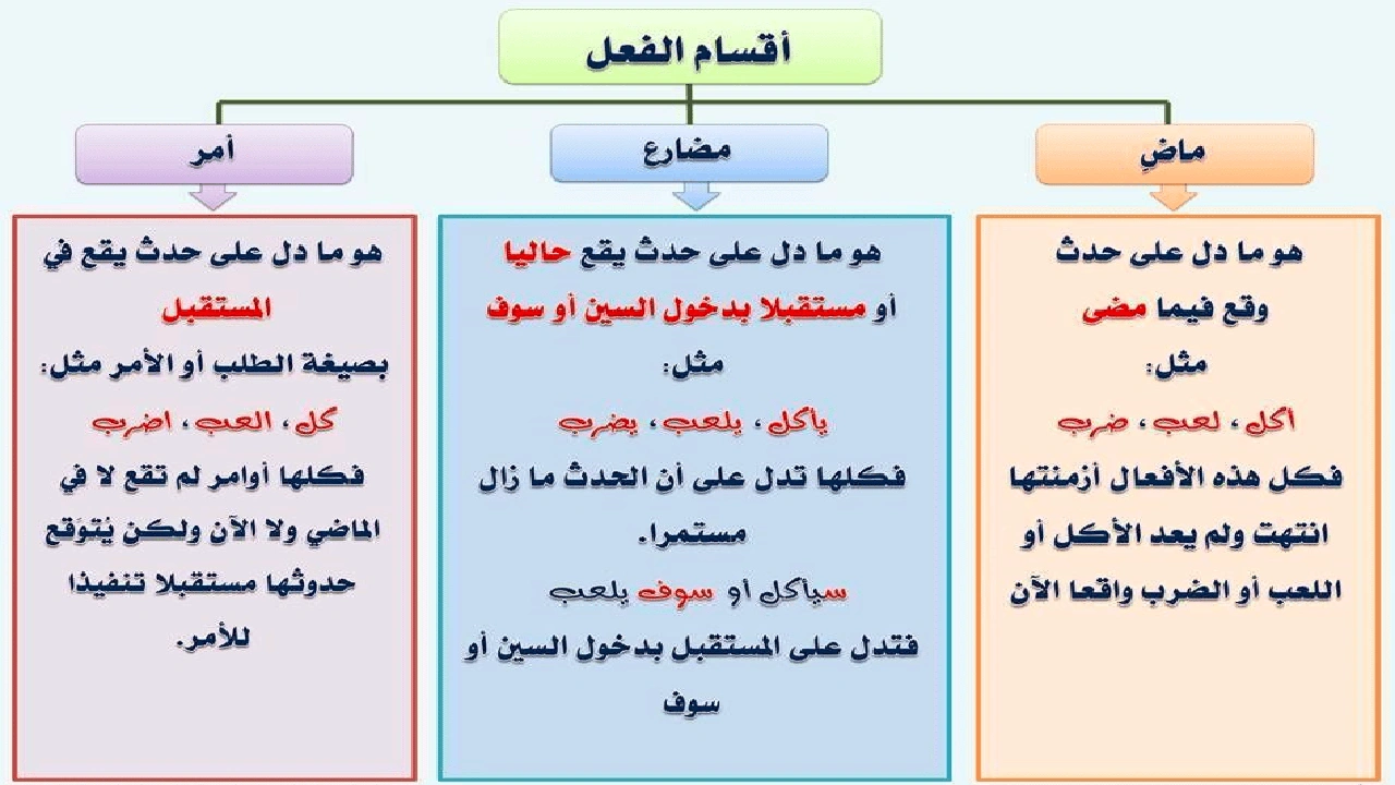 صورة ورقة عمل الفعل الماضي والمضارع والامر