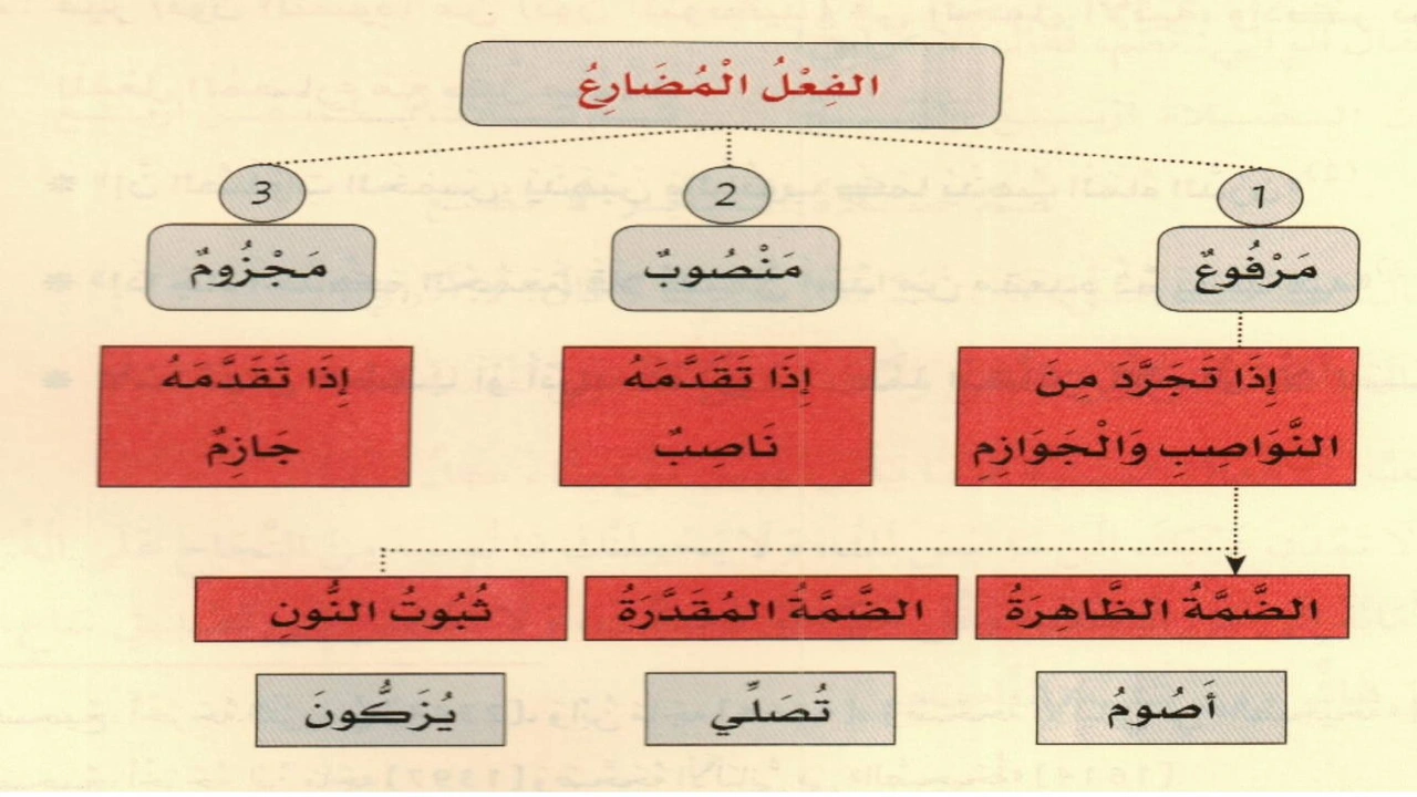 صورة ورقة عمل الفعل المضارع