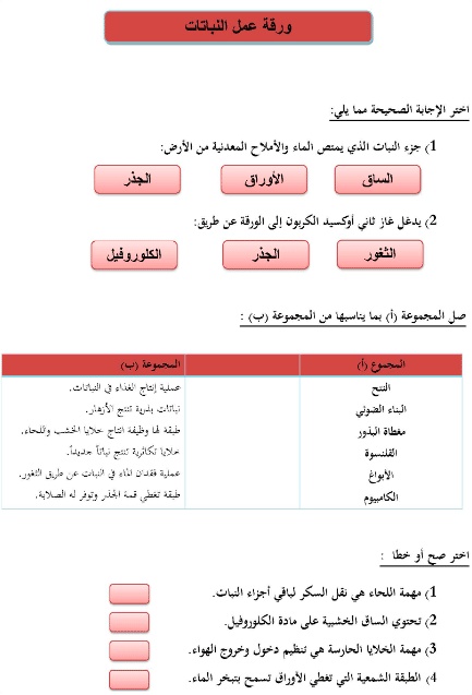 ورقة عمل الله الرزاق