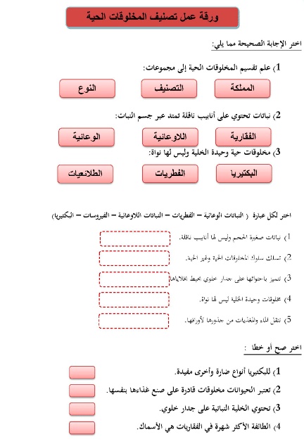 ورقة عمل الله الرزاق