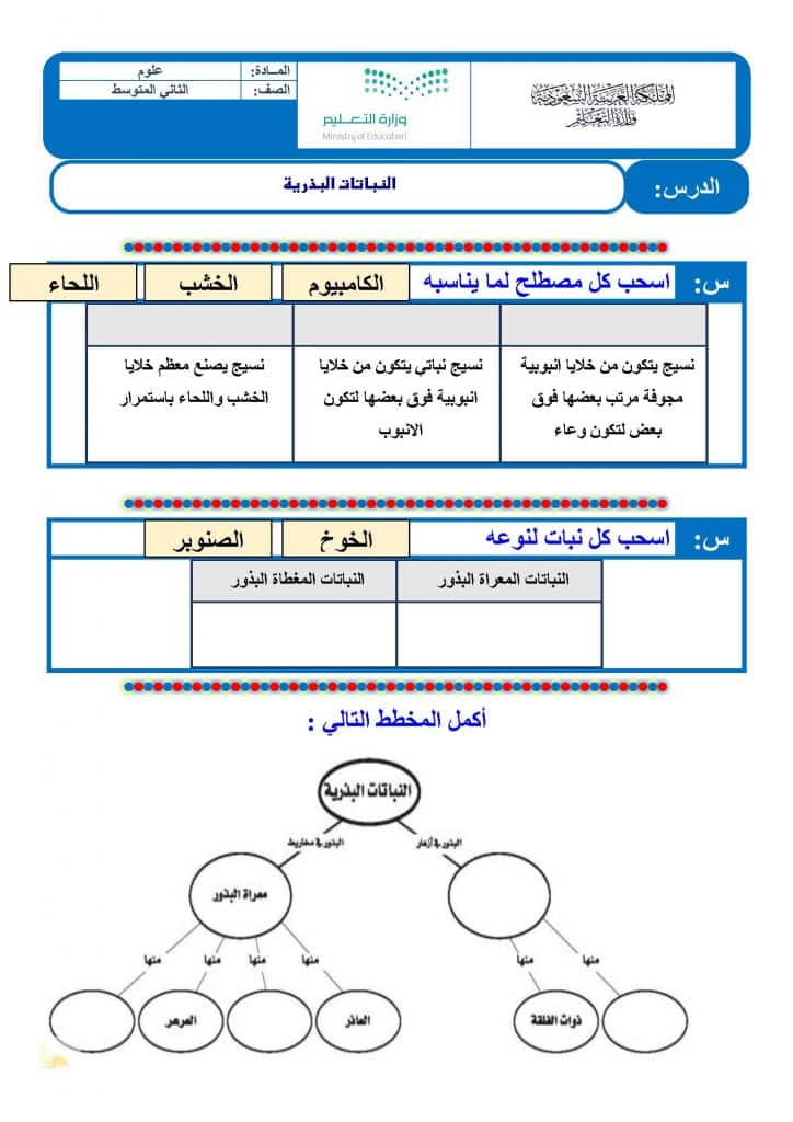 ورقة عمل المحاليل والذائبية