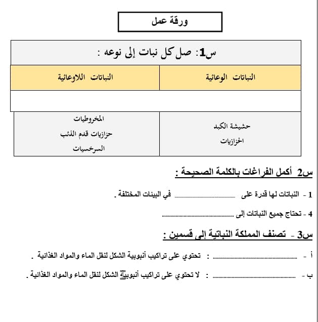 ورقة عمل المحاليل والذائبية