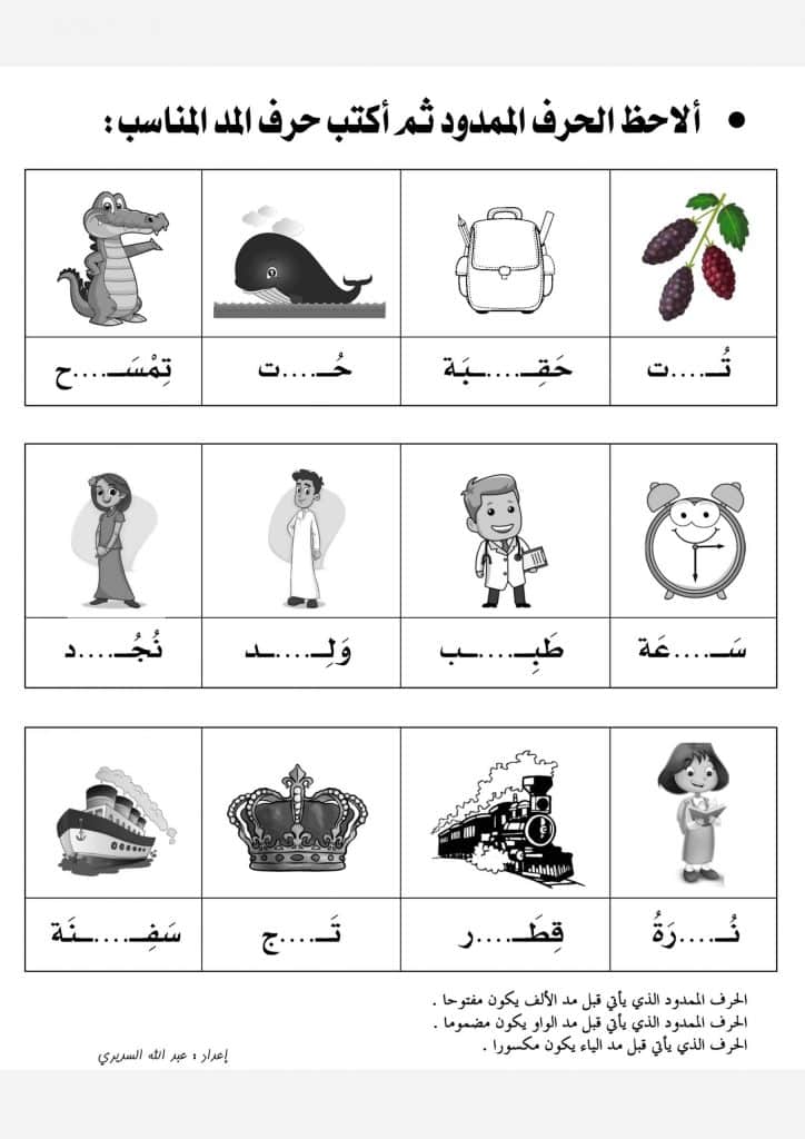 ورقة عمل المدود