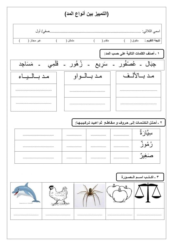 ورقة عمل المدود