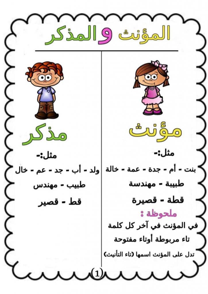 ورقة عمل المذكر والمؤنث