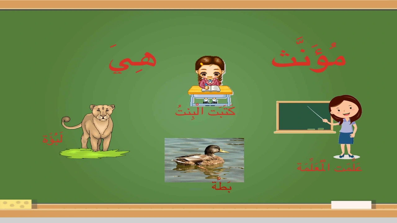 صورة ورقة عمل المذكر والمؤنث