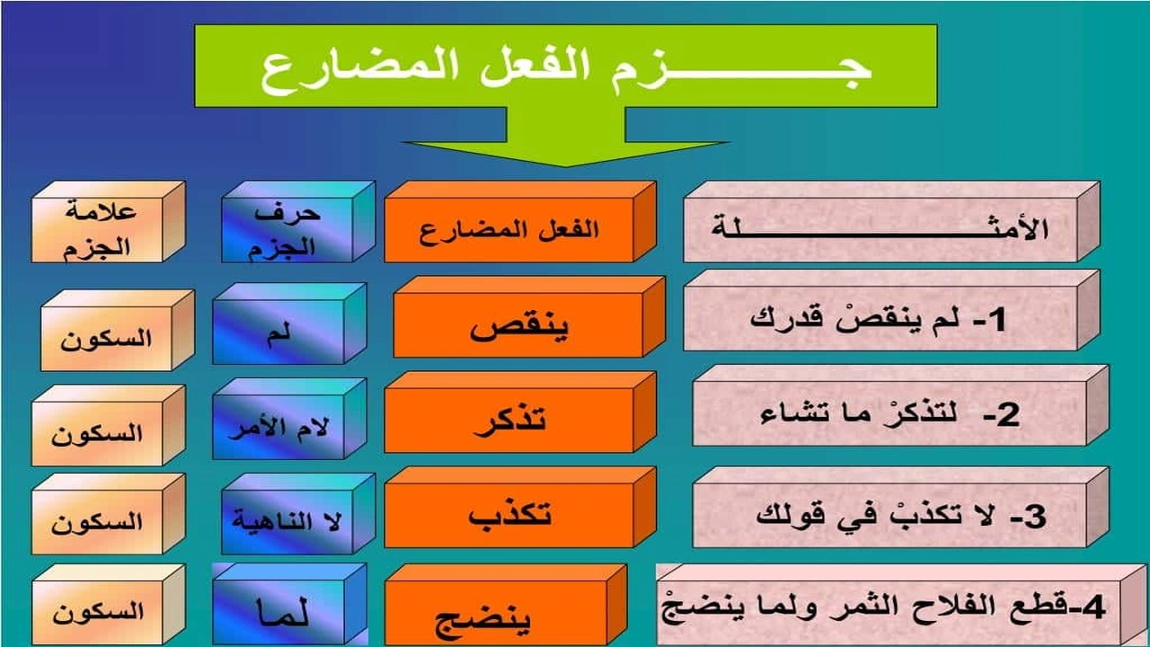 صورة ورقة عمل المضارع المجزوم