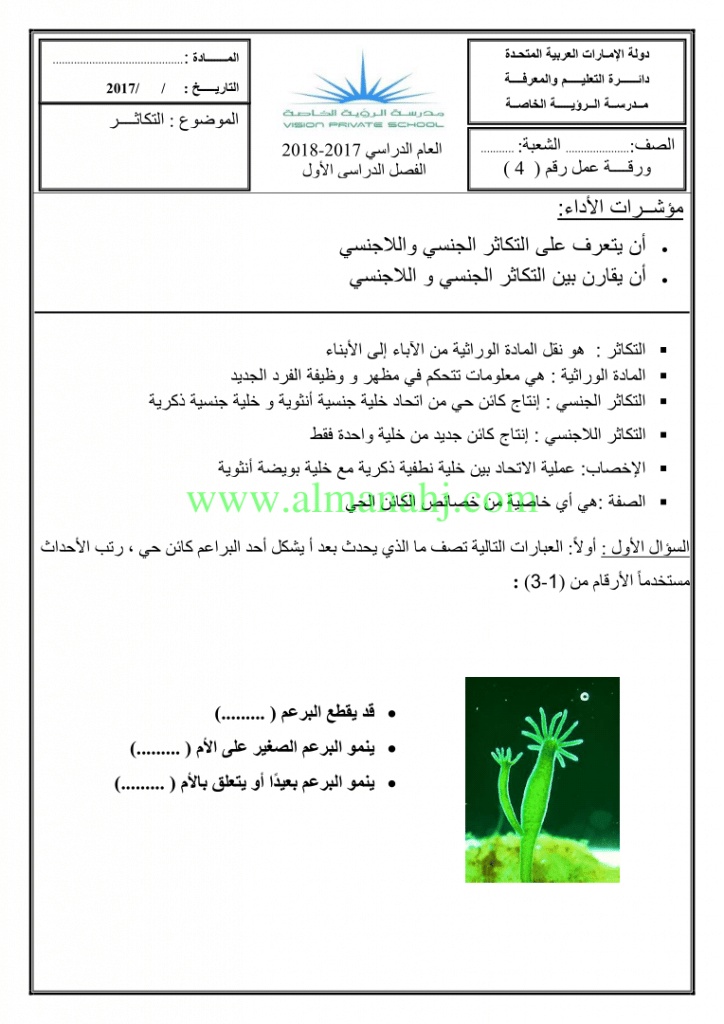 ورقة عمل النباتات الوعائية البذرية