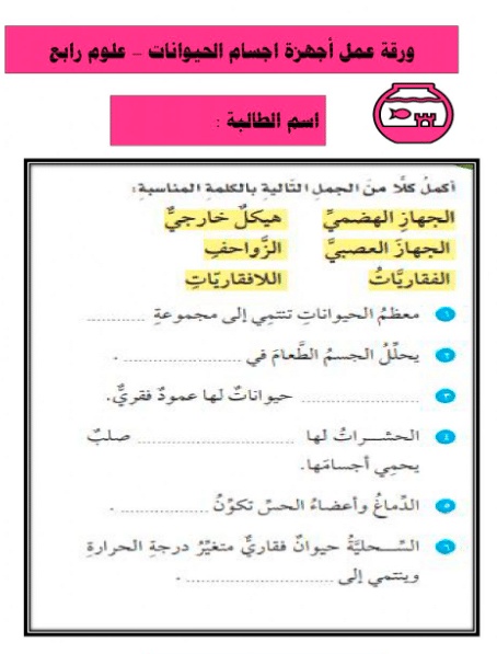 ورقة عمل تصنيف المخلوقات الحية
