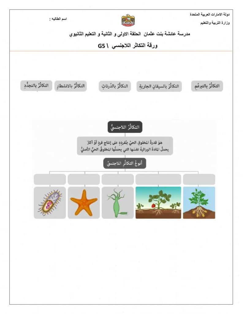 ورقة عمل تصنيف المخلوقات الحية