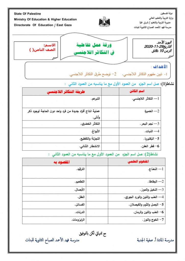 ورقة عمل تصنيف المخلوقات الحية
