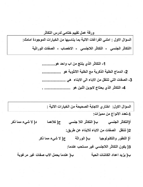 ورقة عمل تصنيف المخلوقات الحية
